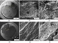 Six black and white SEM micrographs of type 2001 LDSS reinforcing bar in different locations