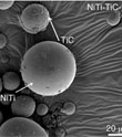black and white microscope image of NiTi-TiC-1 powder at 20 um magnification