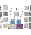 summary of potential metallurgical effects from additive manufacturing, showing square microscope images around a drawing of a laser depositing metal layers.
