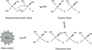 Polymerization of monomeric silica to polysilicic acid.