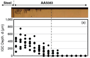 Cross section of a galvanic couple between heavily sensitized AA5083-H131 (degree of sensitization according to ASTM G67 is 50 mg/cm2) and ASI 4340 steel after corrosion for 100 h in an atmospheric environment controlled at a relative humidity of 98% with 3.5 g/m2 of salt deposited on the surface of the metals. The areas of both electrodes are identical. This image was taken from the published work by Mizuno and Kelly.7