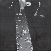 Deep pitting in a crude oil tanker cargo ballast tank. Note the depth of the pits compared to the diameter. Source: C.G. Munger, “Deep Pitting in Sour Crude Oil Tankers,” MP 15, 3 (1976).