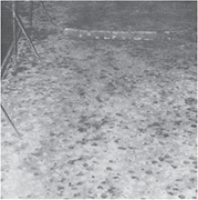 Zinc anodes on a horizontal stiffener in a cargo ballast tank. There is pitting adjacent to the anodes, and the light surface coloration is a white sulfur precipitate and not a calcareous CP deposit.
