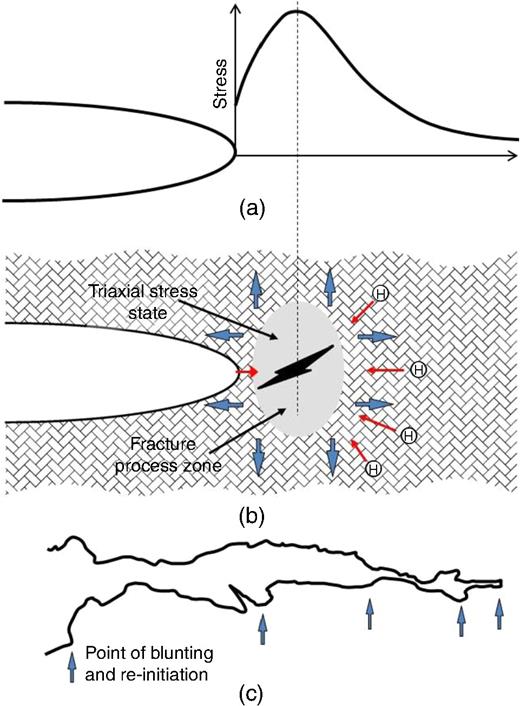 FIGURE 11. Illustration showing the mechanism of discontinuous crack growth: (a) stress distribution at the blunt tip, and (b) microcrack initiation at the fracture process zone. (c) Illustration showing cycles of crack tip blunting and microcrack initiation and growth, which was traced based on the morphologies of cracks after crack growth testing.39