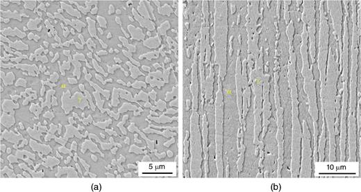 Optical micrographs of Type 2001 LDSS reinforcing bar: (a) as-received sample cross-sectional view 50× and (b) as-received sample rolling direction 50×.