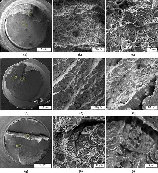 SEM micrograph of Type 2001 LDSS reinforcing bar: 0 wt% Cl− (a) rupture surface 45×, (b) coalescence of dimples 2,800×, (c) ductile overload areas 4,250×; 4 wt% Cl−, (d) rupture surface 25×, (e) cleavage planes 650×, (f) cleavage facets in α phase and cracked α-phase grains 2,450×; 8 wt% Cl− (g) rupture surface 60×, (h) cracked cleavage facets 4,600×, and (i) preferential dissolution of the α phase was also developed in the form a bundle of parallel γ phase left of both sides of the crack lips 11,300×.