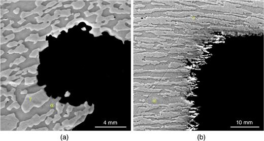SEM micrographs of Type 2001 LDSS reinforcing bar after CPP to see preferential dissolution (no applied stress): (a) transversal direction 14,000× and (b) rolling direction 6,300×.