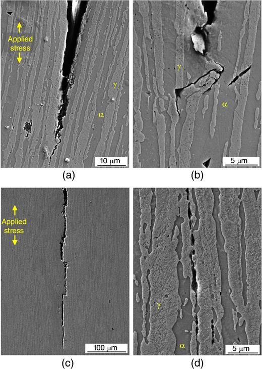 SEM crack micrographs of Type 2001 LDSS reinforcing bar after SCC testing: 4 wt% Cl− (a) crack tip of main crack 3,760×, (b) secondary crack showing both TG- and IG-SCC 10,600× and 8 wt% Cl−, (c) main crack 560×, and (d) crack detail 10,400×.