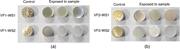 The effect of using different grades of mineral spirits (a) VF1 film sample with WS1 and WS2 solvents and (b) VF2 film sample with WS1 and WS2 solvents.