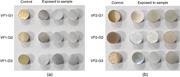 Effect of the method of preparation of Table 4 variables in the test on (a) VF1 film sample and (b) VF2 film sample.
