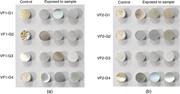 Effect of different conditioning periods for creating a humidity environment of Table 5 variables in the test on (a) VF1 film sample and (b) VF2 film sample.