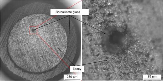 Optical micrograph of the bottom view of microcapillary with approximately 20 µm diameter.