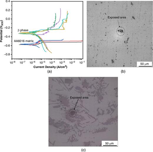 (a) Potentiodynamic polarization curves for AA6016- matrix and β phase (AlxFeySi) in 0.6 M NaCl solution, (b) optical micrograph of the exposed area of AA6016 matrix after polarization testing, and (c) optical micrograph of β phase after polarization testing.