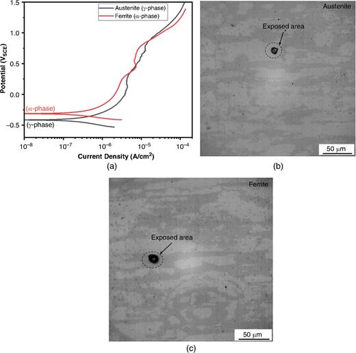 (a) Potentiodynamic polarization experimental curves for the austenite and ferrite phases of duplex 2205 stainless steel in 0.6 M NaCl solution, (b) optical micrograph austenite phase after polarization testing, and (c) optical micrograph of ferrite phase after polarization testing.