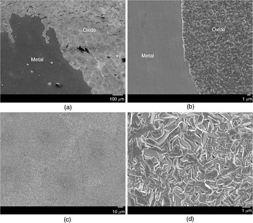 Secondary electron images (plan-view) of the oxidized surface of N32 stainless steel after exposure: (a) low magnification and (b) high magnification of surface with significant oxide scale spallation, and (c) low magnification and (d) high magnification of surface without any oxide scale spallation.
