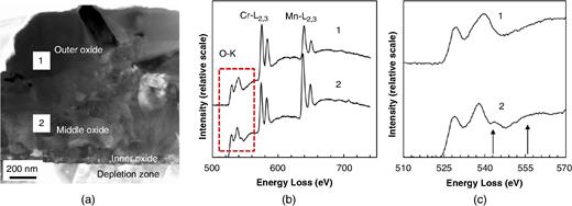 (a) HAADF image of the alloy/oxide interface in cross section, (b) associated STEMEELS spectrum acquired from site 1 (outer oxide) and site 2 (middle oxide), and (c) O-K edge structure plotted on a finer energy loss scale.